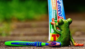宝宝吃海苔钠含量太高怎么选低钠？
